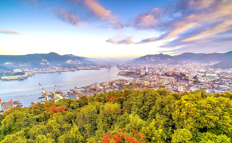 有建筑物、水和树木的水边城市景观